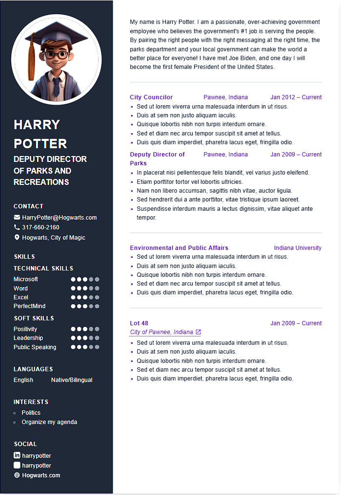 dark sidebar CV template - Professional resume design