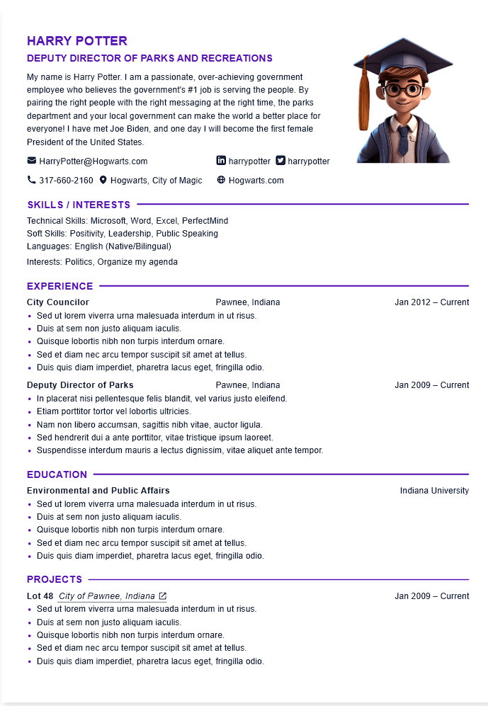 CV example